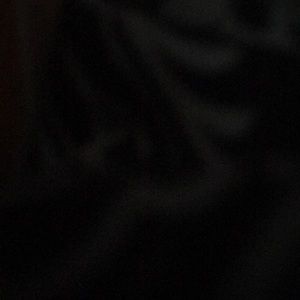 Meet your Posher, Daisy